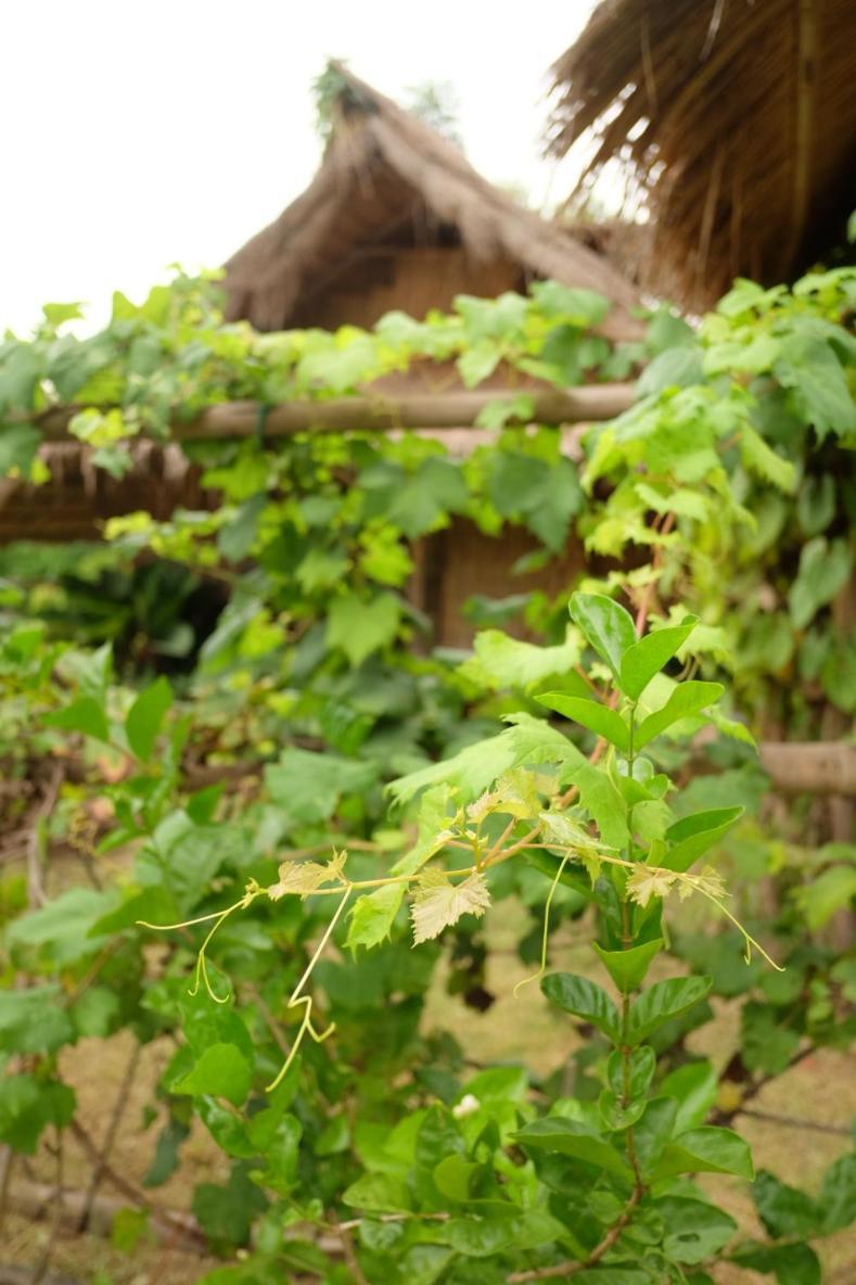 מלון Ratchaburi Royal Mountain Hut חדר תמונה